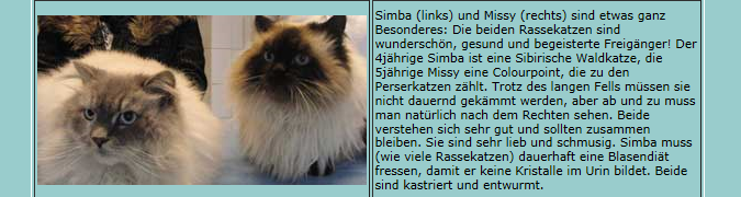 Anzeige von Tierheim